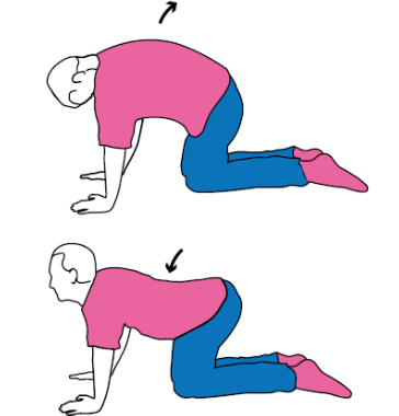 get rid of your back pain arch and hollow exercise